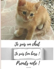 Je suis un chat Je suis ton boss ! Prends note ! by Sirius Valex Editions Paperb