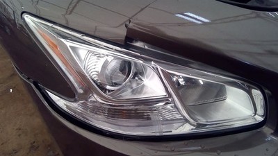 Passenger Right Headlight Halogen Fits 09-14 MAXIMA 6815655