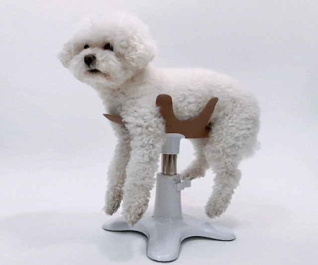 Dog Grooming Hammock Stand | Pet Grooming Support Chair Sling | made in korea