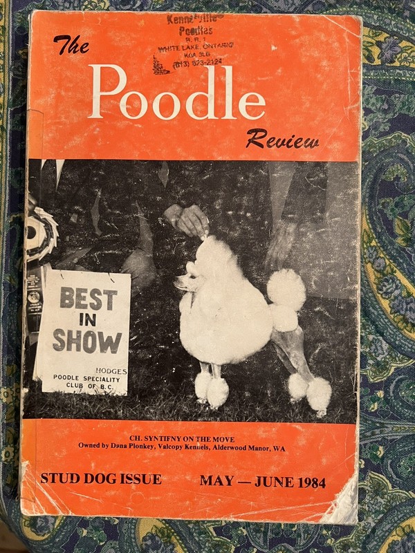 POODLE REVIEW Magazine #28 Stud Issue 1984
