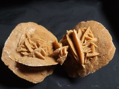 Desert Rose Gypsum Double Crystal Cluster from Morocco 4''x3''x3'' (12.4 oz.)