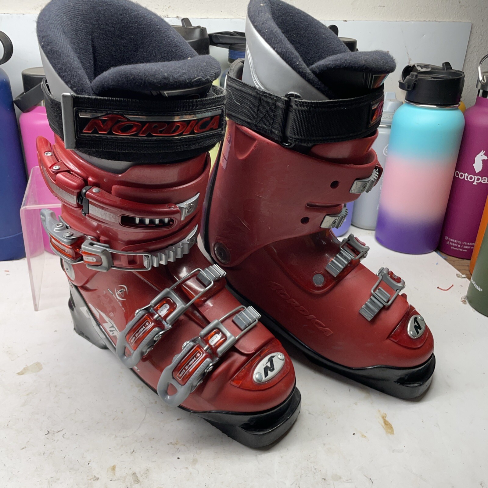 SALOMON Scarponi da sci Nordica The Beast TJ 23.0 23.5