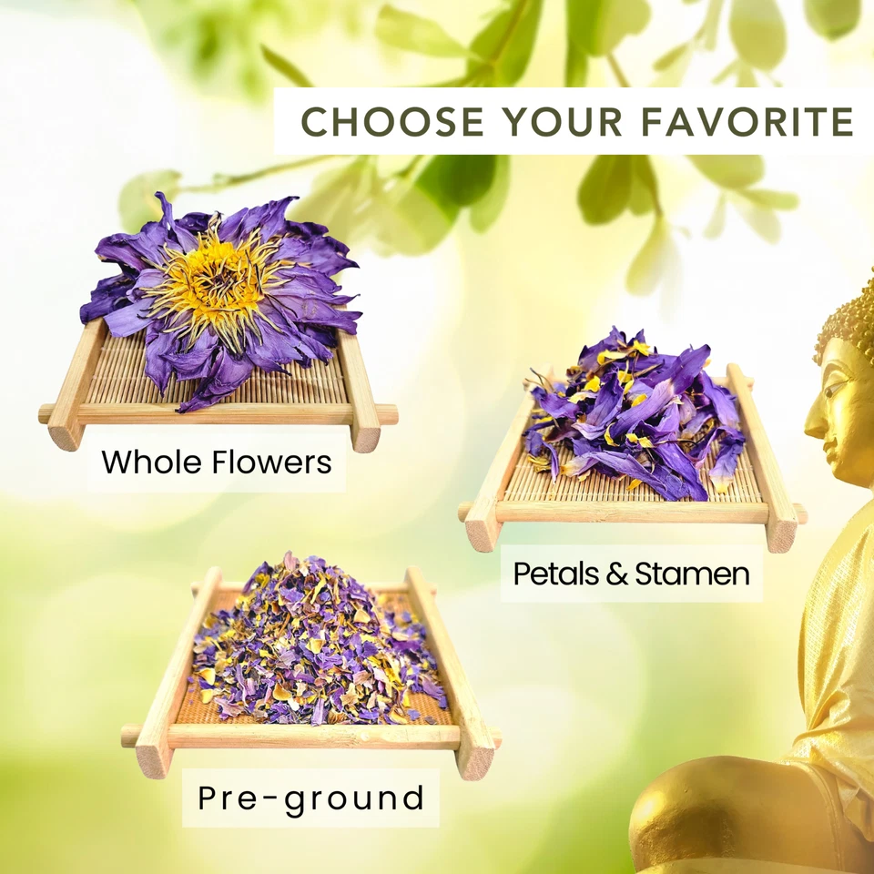 Flor de loto azul orgánico Egipto azul nelumbo nenúfar Foto 2 de 4