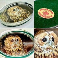 Vintage Tawny Owl Oval Englisch Glas Briefbeschwerer Made In Sussex