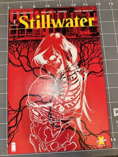 Stillwater #1 | NM| 1st Print- Ramon Perez- OPTIONED!! ๐ฅ ๐ฅ ๐ฅVF-NM