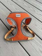 Coastal Dog Harness