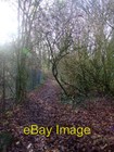 Photo 6x4 Pathway to Hockley Woods Rayleigh A popular local route for wal c2006