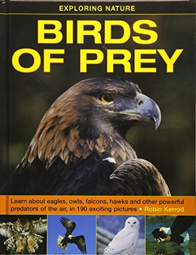 Exploring Nature: Birds of Prey by Kerrod Robin NEW - Image 5