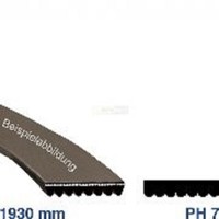 Trockner Keilrippenriemen Antriebsriemen 1930PH7 Passend Bosch Siemens 1930 Ph 7