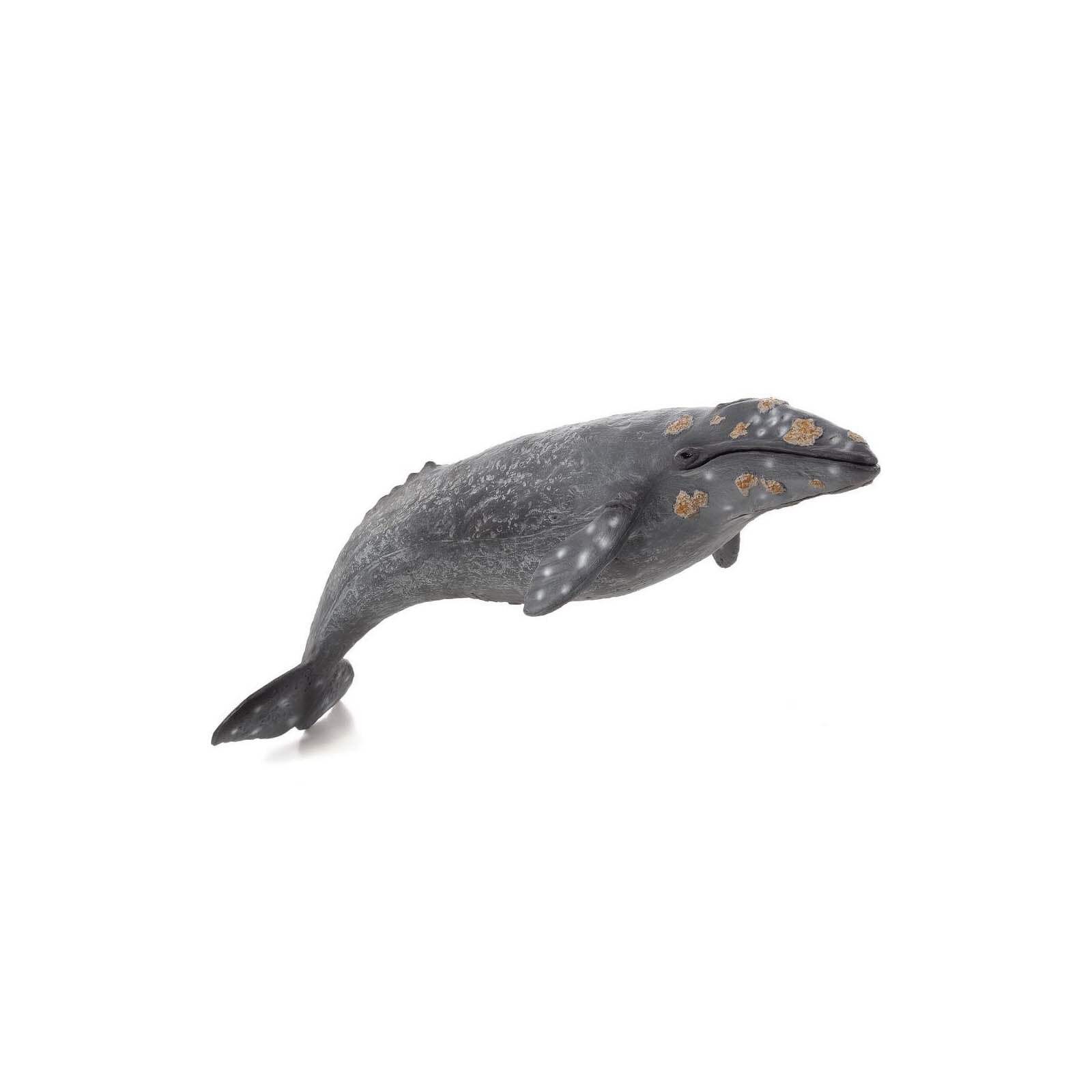 MOJO Grey Whale Animal Figure 387280 NEW Educational Learning Toys 7290₽