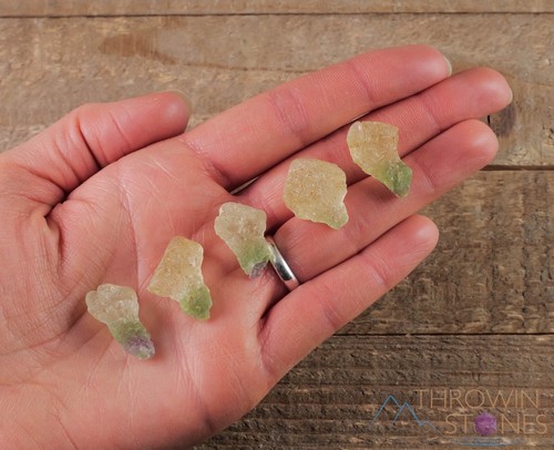 Green FLUORITE Raw Crystal Mushroom - Home Decor, Raw Crystals and Stones, E1441 - Picture 9 of 10