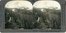 Washington ~ MOUNT HOOD FROM ACROSS TREE LINE ~ Stereoview 13635 T189 20178 fx