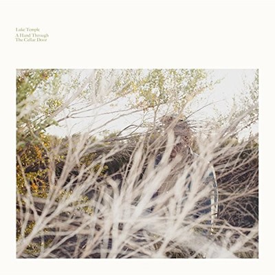 Luke Temple - A Hand Through The Cellar Door - Vinyl Record 12 RECO - J1398z