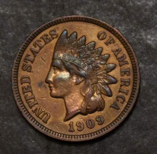 1909 Indian Cent  XF Cleaned  Lot 2487