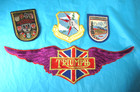 Triumph Motorcycles Strategic Air Command Osterreich Austria Zugspieze Patches — photo 1