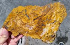 rawk11: Hampton Butte Petrified Wood Lg thin slab-Brecciated Jasper+Agate! — photo 9
