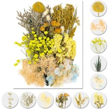 Getrocknete Blumen Set Trockenblumen Deko Bastelmaterial Natur Gelb Kunst Scr...