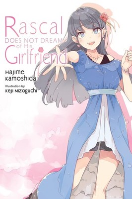 Rascal Does Not Dream of His Girlfriend (light novel) (Volume 14) (Rascal Does N