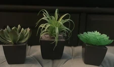 Cute Set~ 3 Assorted 3,4, 5” Faux Small Succulent Plants Pots Wedding Home Decor