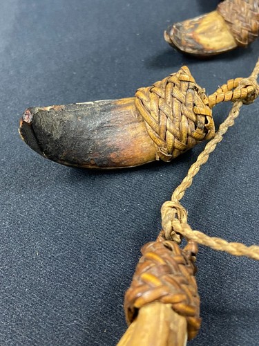 Collier parure de dents Papouasie Nouvelle Guinée Sepik Iatmul Abelam Korowai - Picture 9 of 13