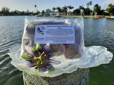 Amazon Rainforest Tea with Cat's Claw and Chuchuhuasi THREE - 1 Ounce bags 