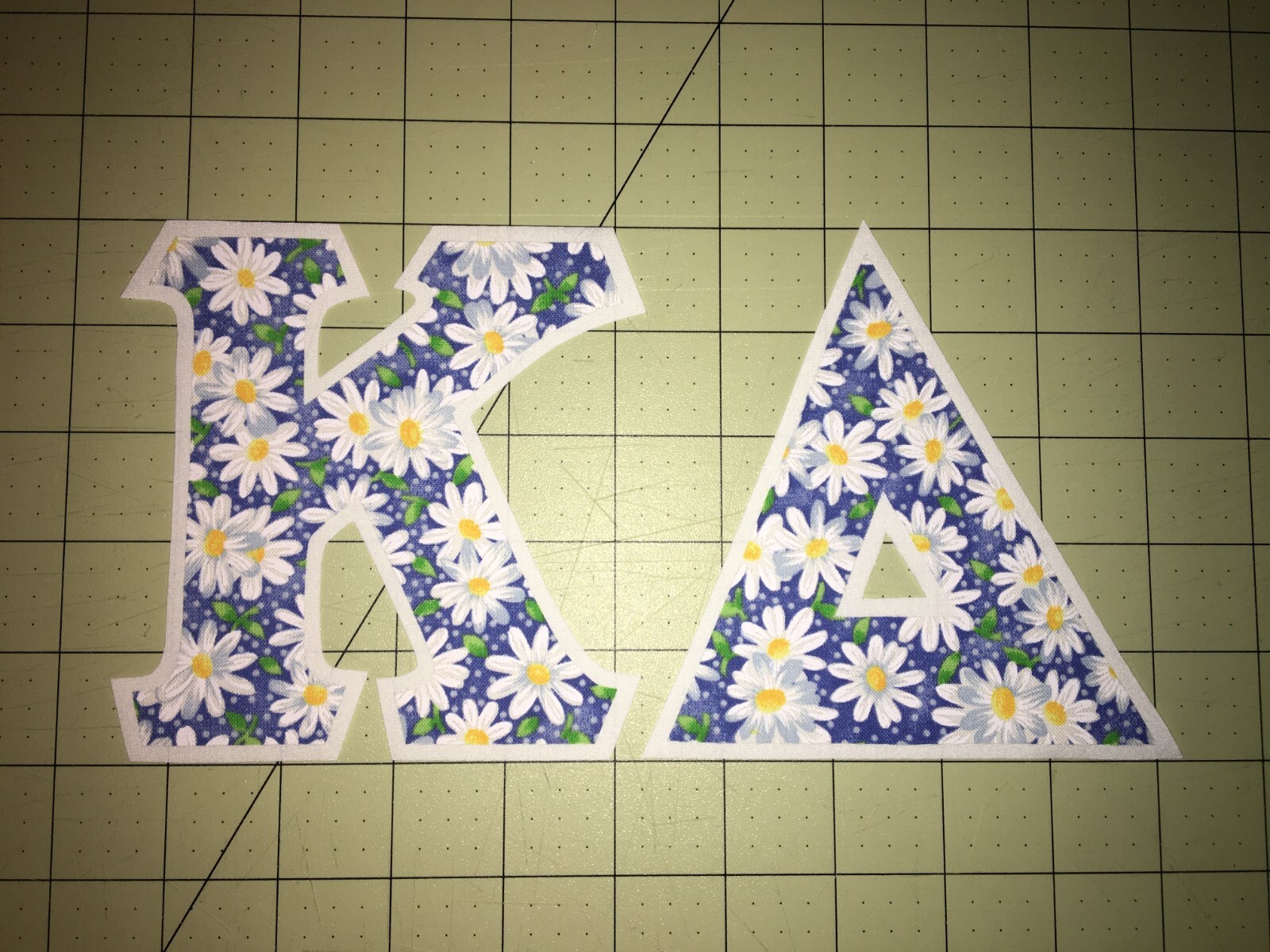 Picture 5 of 16