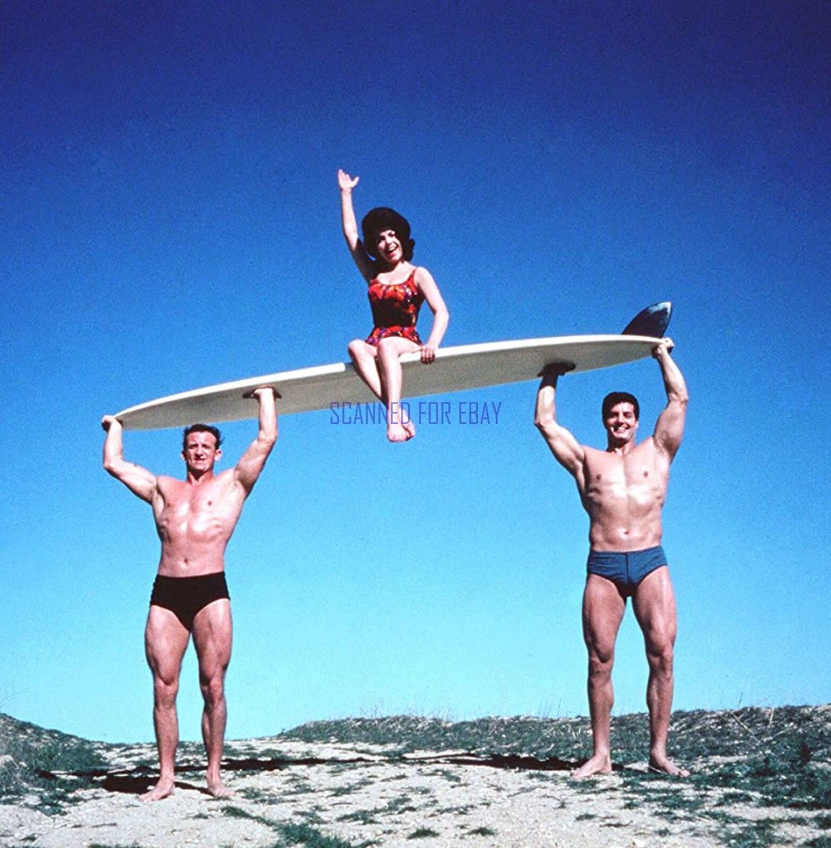 洋楽 Annette Muscle Beach Party RNDF 205 洋楽 Annette Muscle Beach Party RNDF 205 Muscle Beach Party