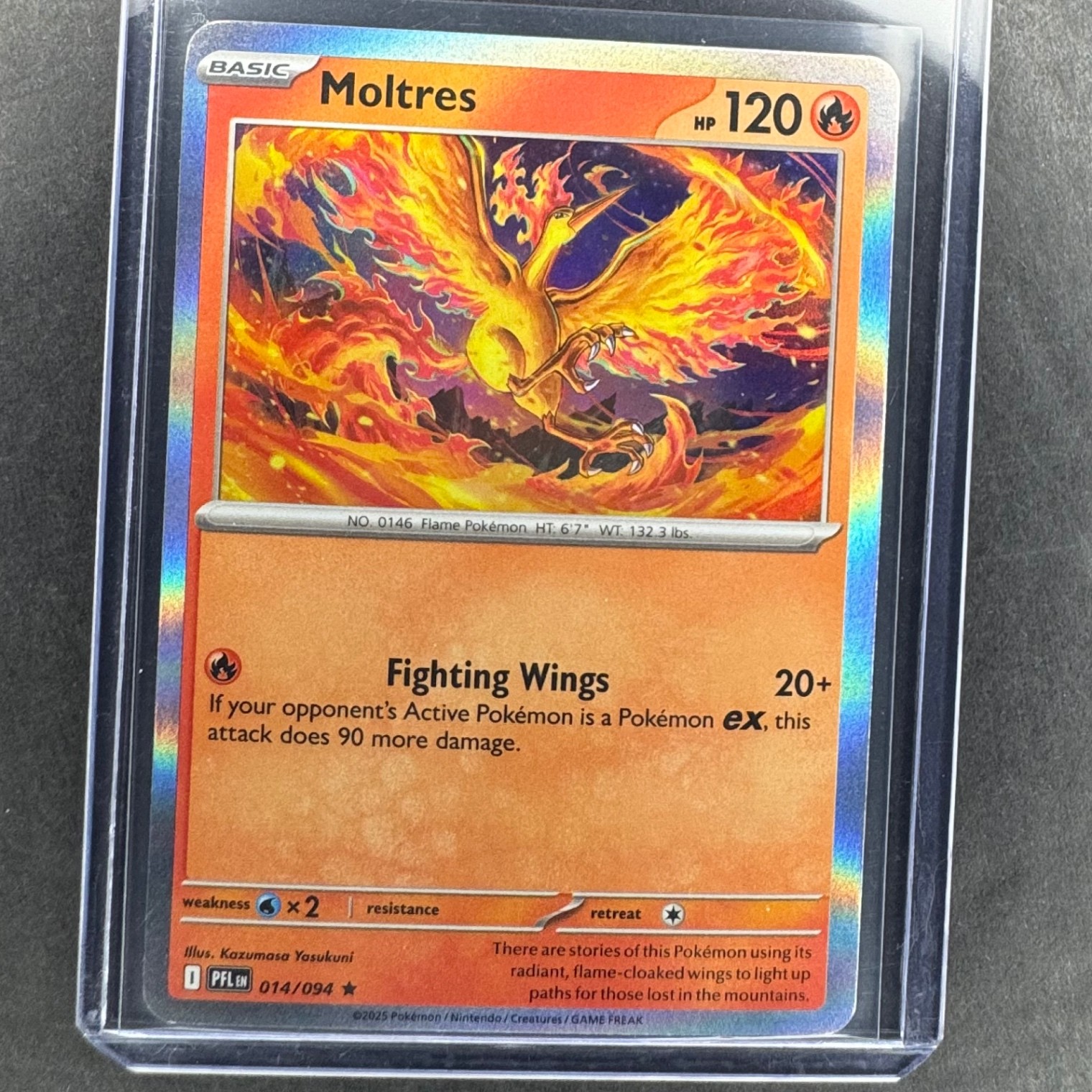 Pokémon Moltres Holo Rare ME02: Phantasmal Flames 014/094 NM