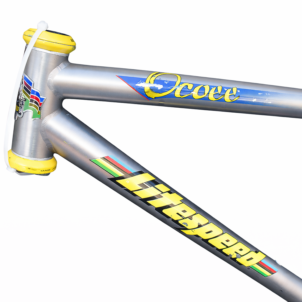 ❣️OLD MTB LITESPEED OCOEE FS ライトスピードチタニウム Litespeed Ocoee Titanium MTB Frame w/ Tange Threadless Headset