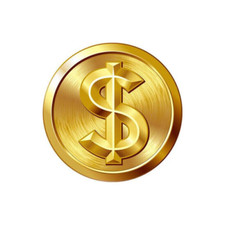The Goods Payment or Extra Fee/cost for the balance of your order/shipping cost
