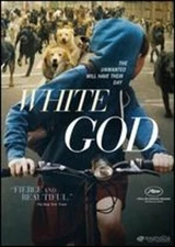 White God by Kornel Mundruczo: New