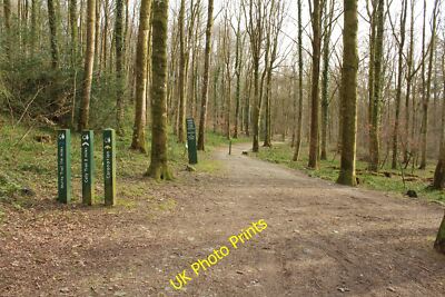 Foto 6x4 Start von Cally Woods Trails Torhaus der Flotte c2015
