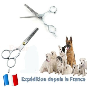 Ciseaux Chien Chat Eclaircissants Ciseaux A Desepaissir Le Pelage Toilettage Ebay Ciseaux Chien Chat Eclaircissants Ciseaux A Desepaissir Le Pelage Toilettage Ebay