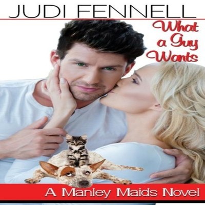 What A Guy Wants - A Reverse-Cinderella Reunion RomCom Judi Fenne