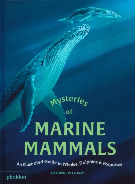 Mysteries of Marine Mammals by Amandine Delaunay (Hardback Book)