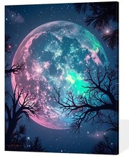 Paint by Numbers Kit for Adults Beginner Paint by Numbers Moon Without Frame