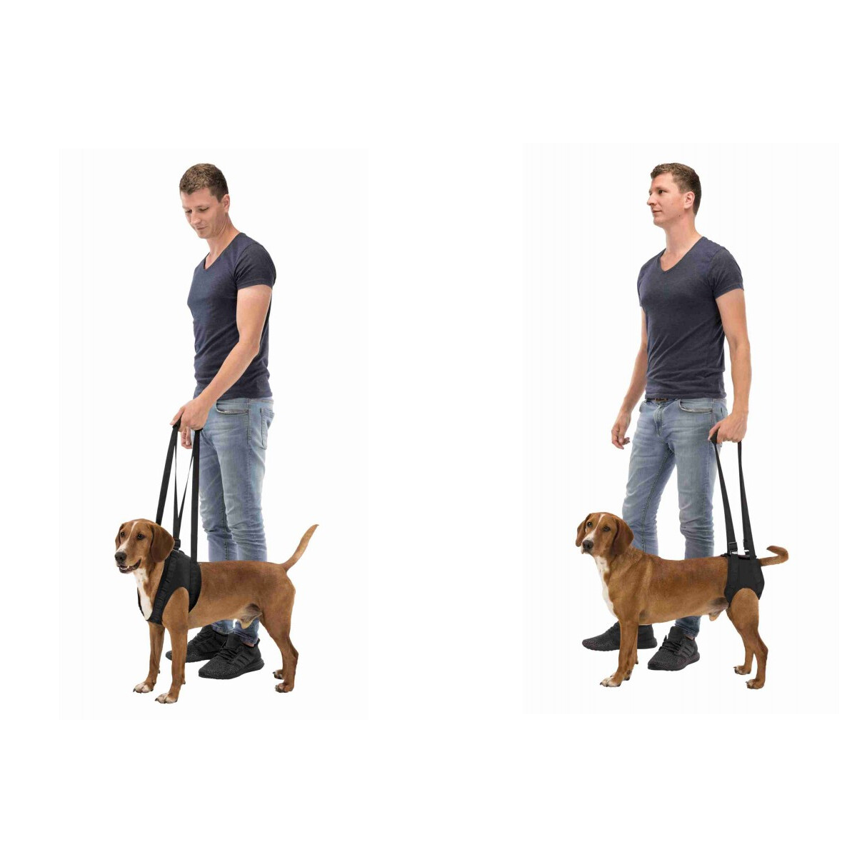 Hunde Tragehilfe Trixie Hebehilfe Ab 7,89 € | Preisvergleich Bei Gehhilfe  Hund, image size:1200x1200