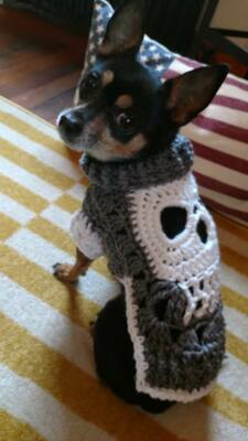 ⭐︎犬服⭐︎handmade Handmade crochet dog sweater / vest / coat in Skull - Size SX to