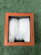 2002 Vagina Art Vulva Female Anatomy Decor Fr...
