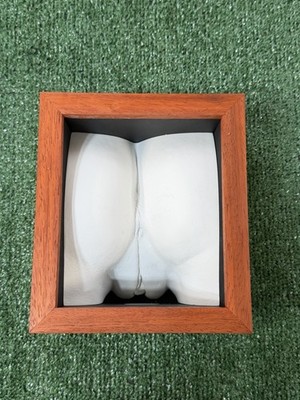 2002 Vagina Art Vulva Female Anatomy Decor Framed 3D  Boxing Katrina  JAW 2/50