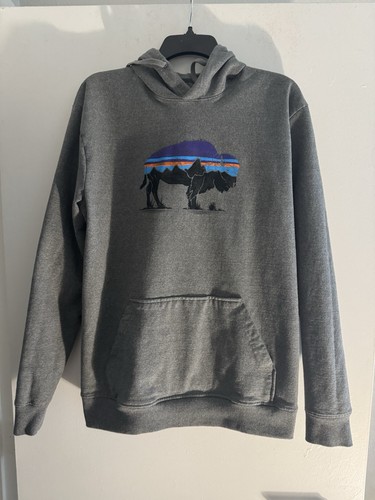 Patagonia Fitz Roy Bison Uprisal Hoodie Gray Heather Men’s L Graphic Pullover