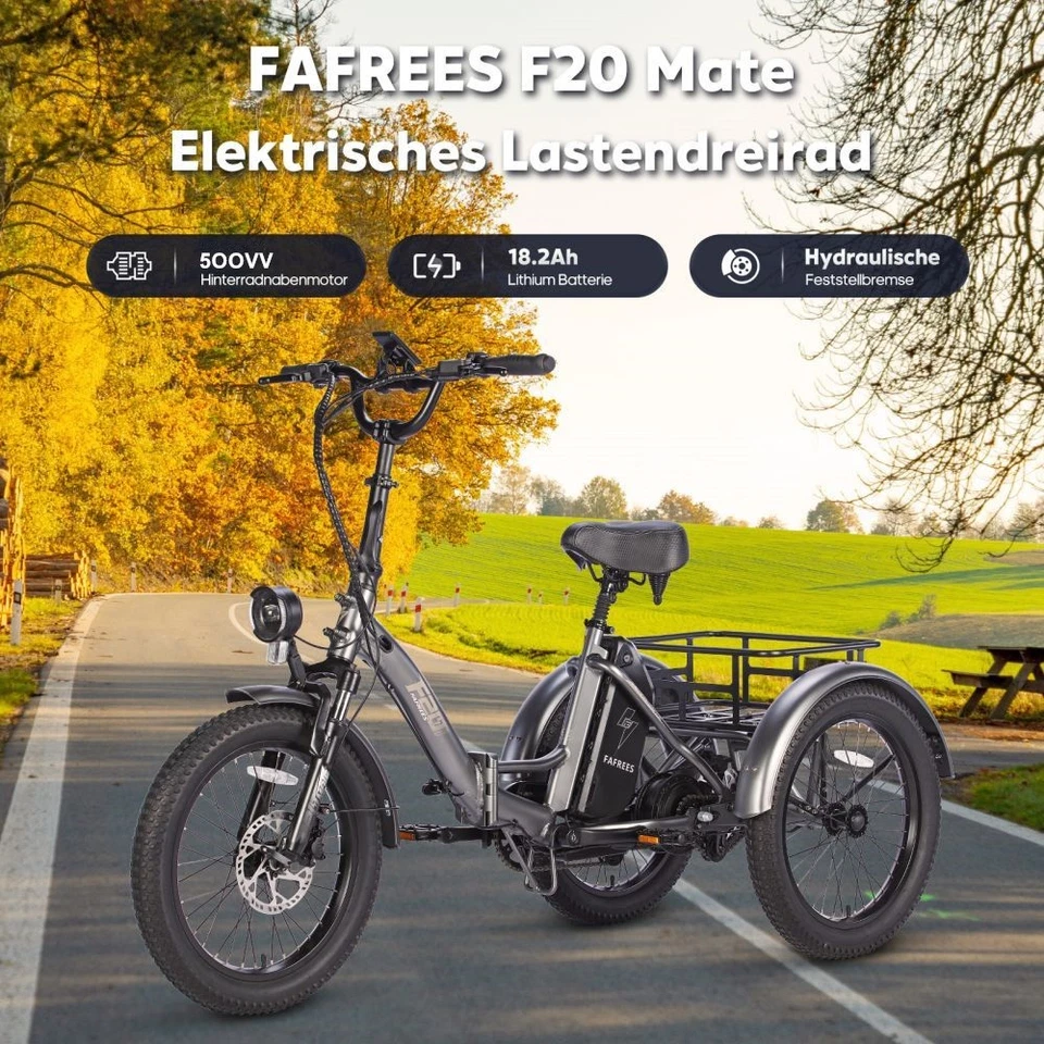 ✅Fafrees F20 Mate✅ 3-Rad Elektrofahrrad 20 Zoll Elektro Dreirad E-Bikes mit Korb - Bild 2 von 4