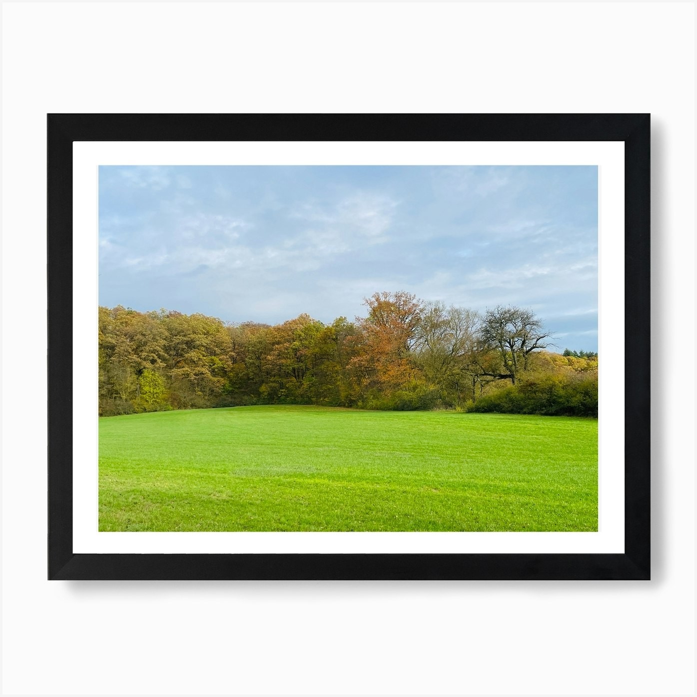 Field With Trees 3 Framed Art Print Canvas Wall Decor Poster  
