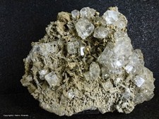 Fluorit mit Prasemquartz von Dalnegorsk Russland