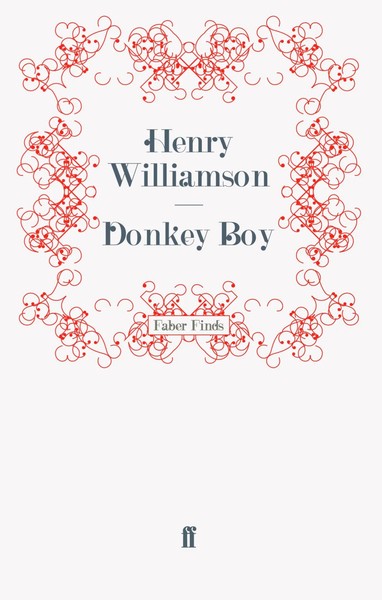 Donkey Boy Taschenbuch 400 S. Englisch 2011 Faber and Faber ltd.-image