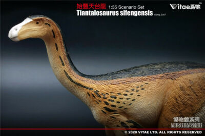 Vitae 1/35 Tiantaiosaurus sifengensis Dong A Model Dinosaur Figure Decor Gift