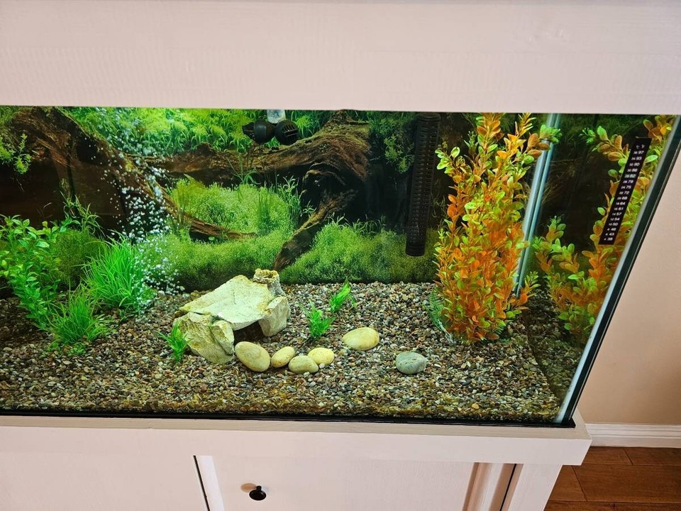 125 Gallon Top Fin Fish Tank Aquarium & Stand with a Fluval Fx4 Canister Filter eBay