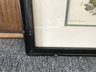 Picture 3 of 6