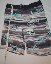 Wonder Nation Boys Swim Shorts Shark Gray Blue Size L 10-12 Elastic Waist