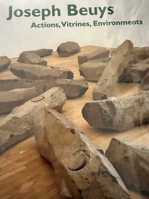 Joseph Beuys Actions Vitrines Environments SC 2004 By Mark Rosenthal NEW